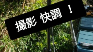Thumbnail of post image 108