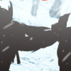 Thumbnail of new posts 179
